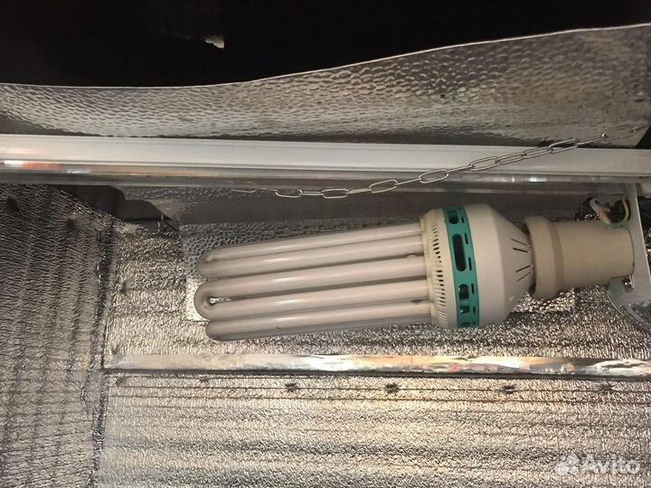 Шкаф для выращивания зелени