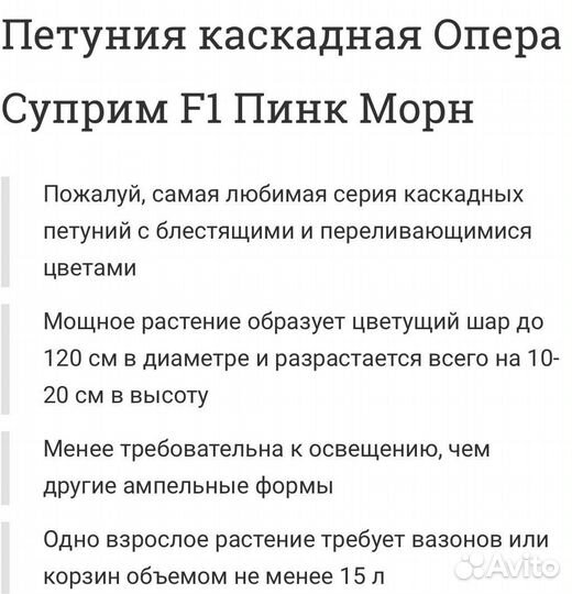 Рассада петунии сурфинии висты