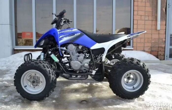 Квадроцикл Motoland ATV 250 S синий