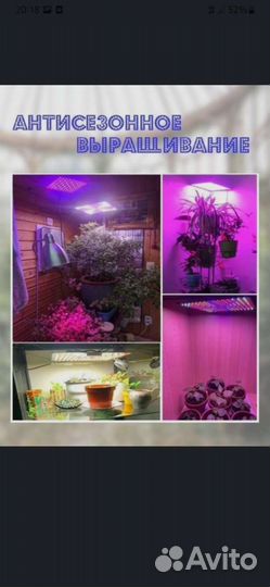 Фитолампа led