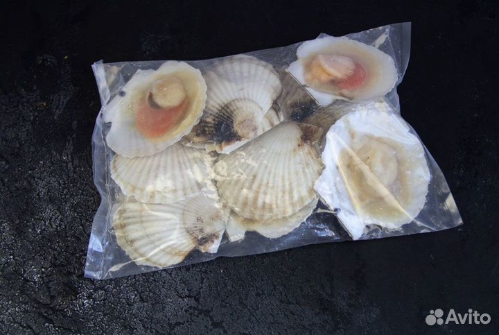 Гребешок морской, с икрой