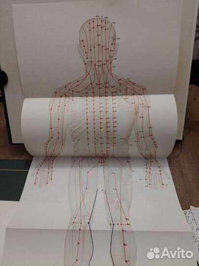 Традиционные и современные аспекты восточной