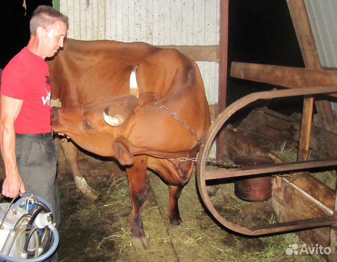 Масло сливочное домашнее