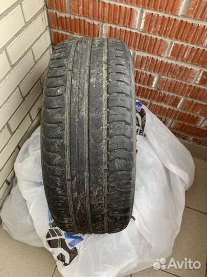 Nokian Tyres Nordman SX 205/55 R16