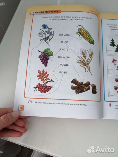 Грамотейка 5-6 лет