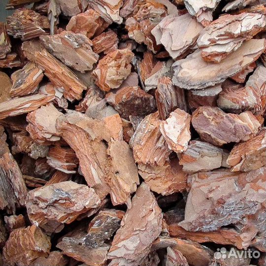 Кора сосновая