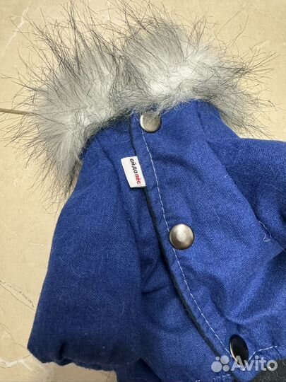 Одежда для собак мелких пород