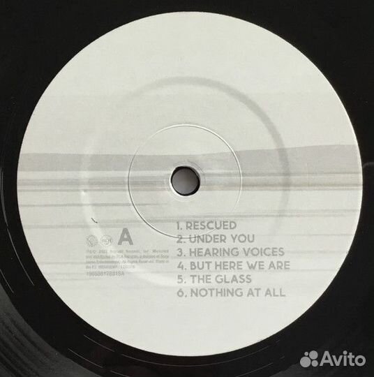 Foo Fighters - But Here We Are/ VinylLP2023