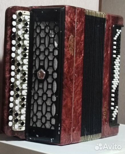 Баян Этюд 205м2