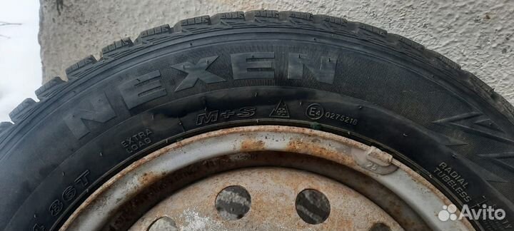 Nexen Winguard Spike WS62 175/65 R14