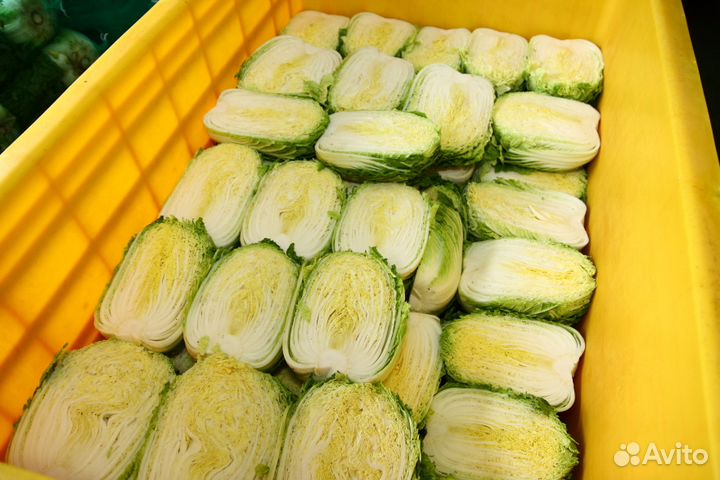 Мастер класс по засолки овощей (ким чи)