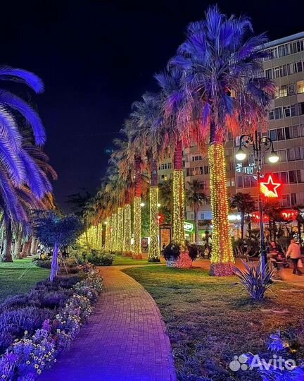 Вечерние Огни Сочи, Обзорная по Сочи