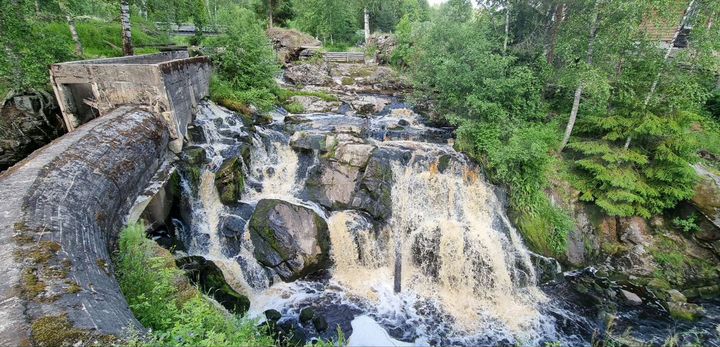 Участок 35 сот. (СНТ, ДНП)