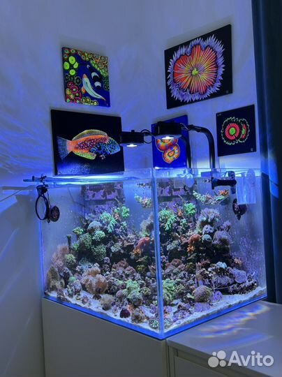 Морской аквариум