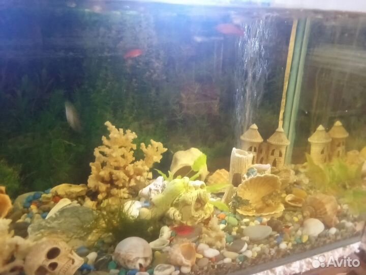 Продам аквариум