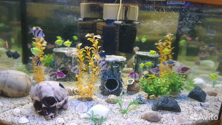 Аквариум с тумбой jebo 150л