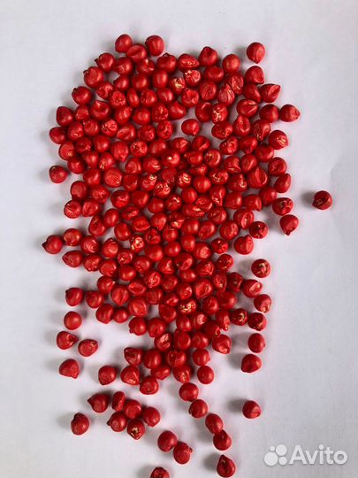Продам семена кукурузы дкс 3169, deklab/bayer