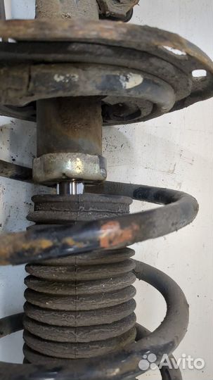 Амортизатор подвески левый передний Toyota Verso, 2010