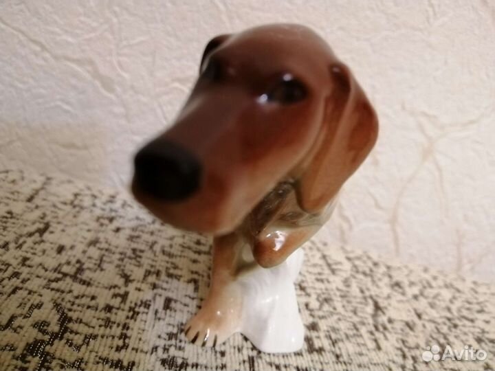 Фарфор, Ирландский Сеттер лфз