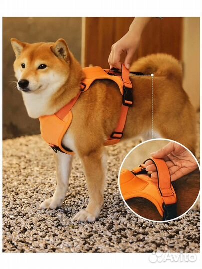Анатомическая шлейка для собак и кошек