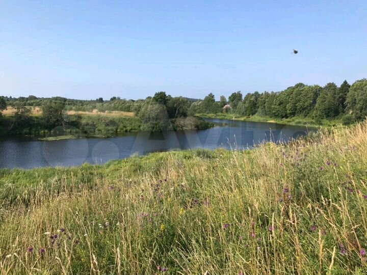 Участок 40 га (ИЖС)