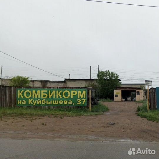 Корма для сельскохозяйственных животных