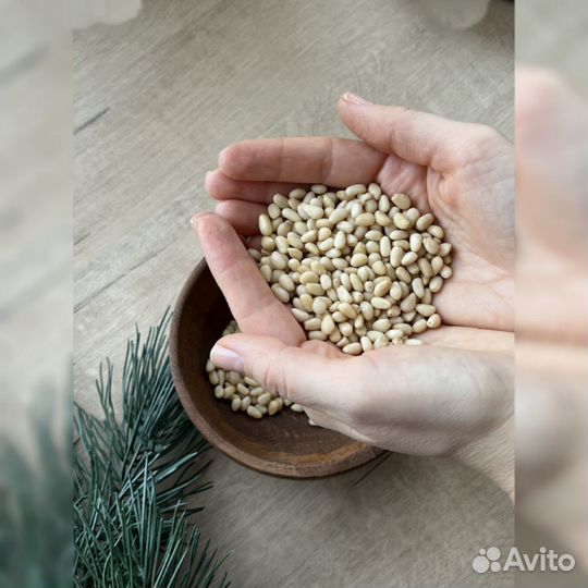 Кедровый орех оптом в Брянске от производителя