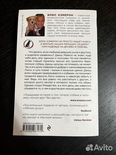 Книга: И тут появилась Люси