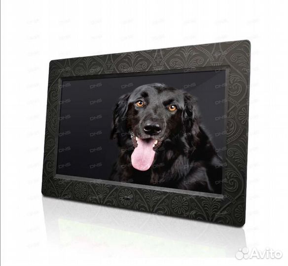 Цифровая фоторамка dexp MP-108 elegance