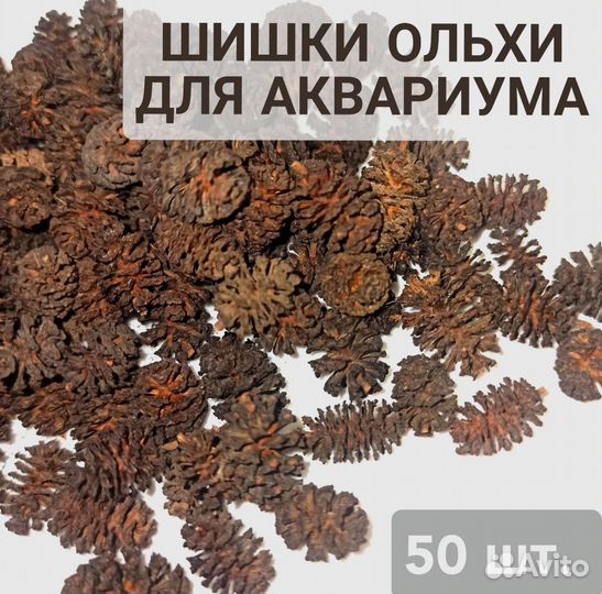 Шишки ольхи