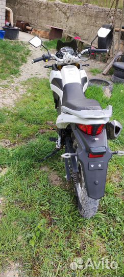 Рейсер 300