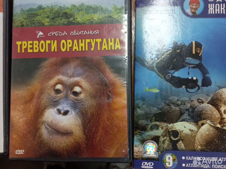 DVD животный мир, собаки