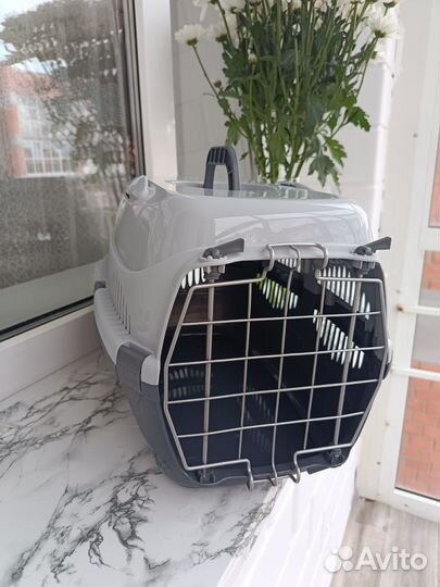 Переноска в аренду