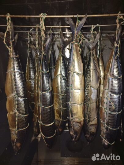 Стейки форели