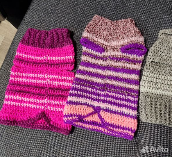 Одежда для кошек