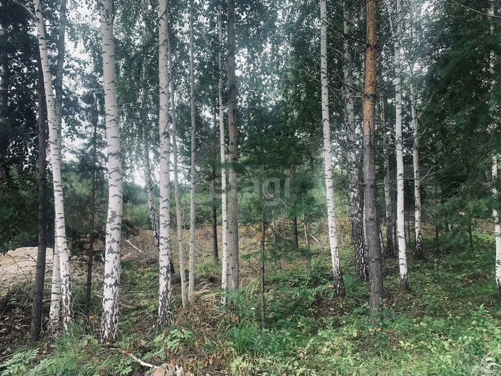 Участок 9,7 сот. (ИЖС)