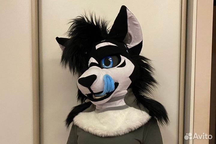 Фурсьют кот