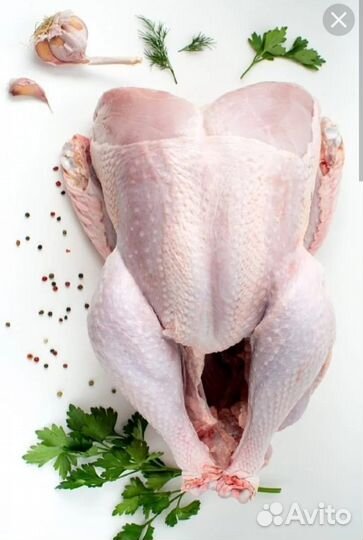 Мясо домашней индейки