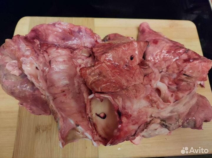 Мясо говядина для собак