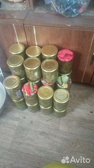 Щавель лесной