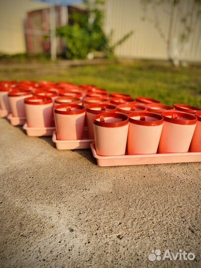 Многоразовые горшки для рассады с поддонами