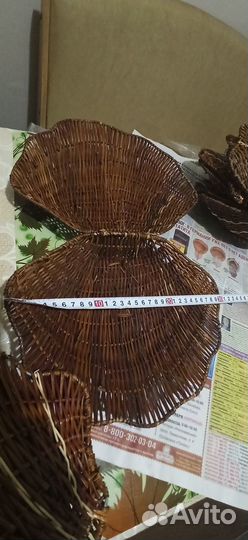 Ракушка плетёная