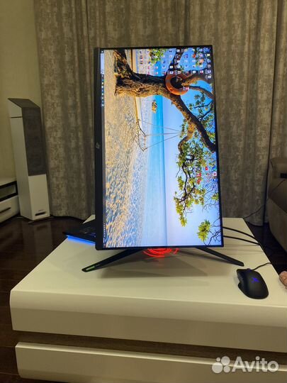 Монитор Asus ROG XG279Q