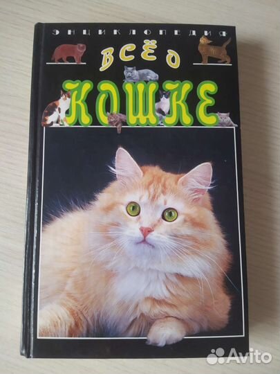 Энциклопедия 