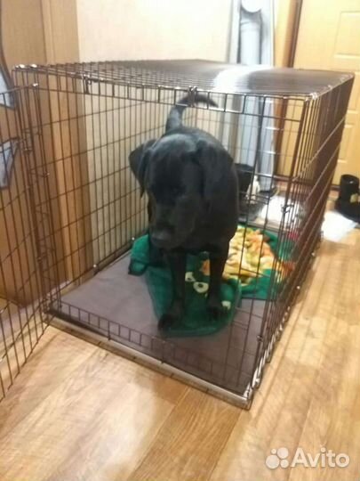 Клетка №6 для собак
