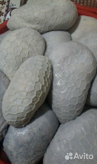 Ба1арш и колбаса