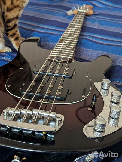 Бас гитара мужик мен