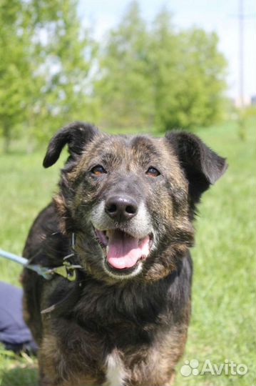 Мир который она видет из решётки, спаси ее