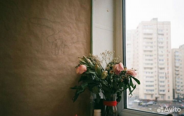 Пленочный фотоаппарат Skina AW 230