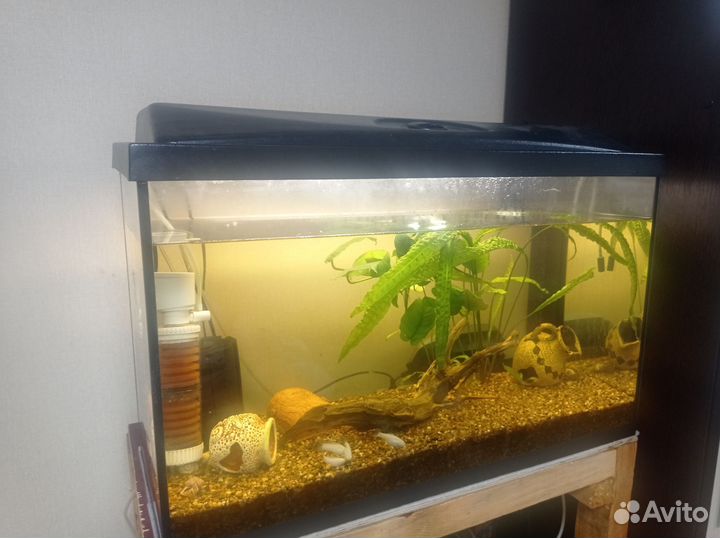 Аквариум